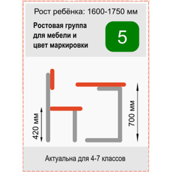 Стул ученический регулируемый Точка Роста 3-5 ФГК-3